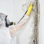 mold-remediation-io